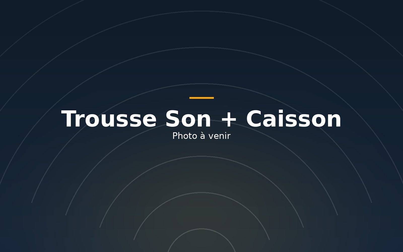 Trousse Son + Caisson : 2 haut-parleurs JBL PRX800, Caisson de basses, 2 trépieds, Console de mixage, 2 micros, dont 1 sans fil, Câbles et entrée pour téléphone