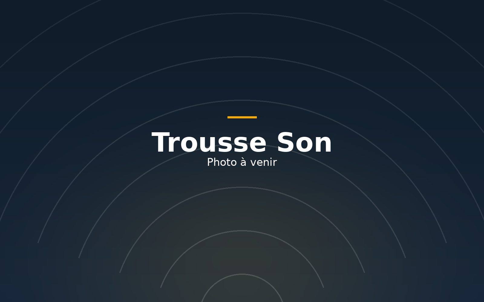 Trousse Son : 2 haut-parleurs JBL PRX800, 2 trépieds, Console de mixage, 2 micros, dont 1 sans fil, Câbles et entrée pour téléphone